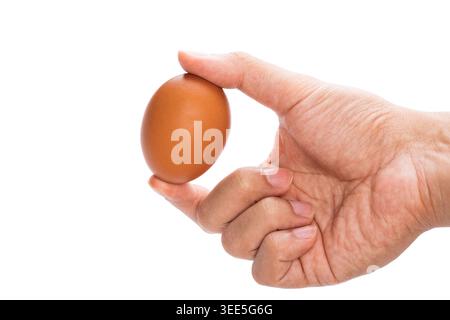 a man's hand hold and show brown chicken egg with two fingers isolated in white background with clipping path. Stock Photo