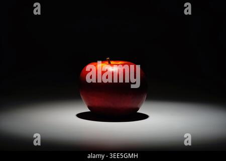 a fresh red apple isolated in spotlight from above and black dark shade  surround background . Stock Photo