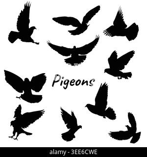 Collection of black pigeon bird silhouettes in various flying and landing poses on a white background. The set includes detailed vector outlines of do Stock Vector