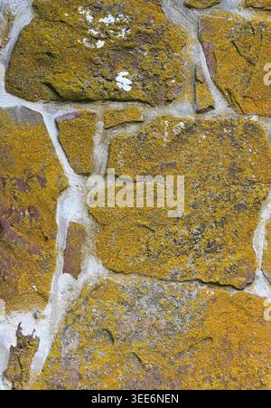 Close up of a heavily moss covered rock and mortar wall surface with porous uneven stones, wide cracked mortar joints Stock Photo