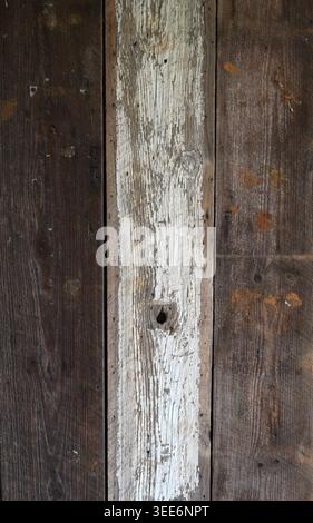 Reclaimed wood board siding surface with a white painted center board showing cracked, worn, and flaking paint that reveals natural wood grain Stock Photo