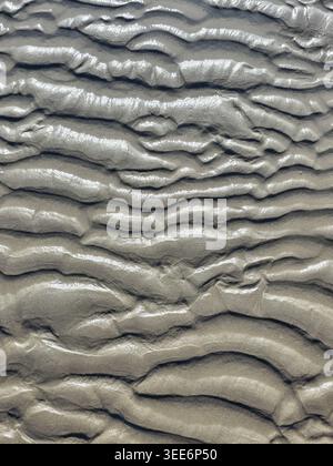 Beautiful mud texture showing ripple on wet sand in nature with detailed pattern in gray color evoking calm emotion. Perfect for natural background or Stock Photo