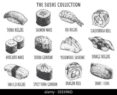 A comprehensive collection of classic sushi varieties rendered in a highly detailed, vintage engraving style. This hand-drawn vector illustration is p Stock Vector