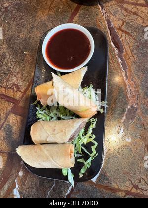 Crispy spring rolls with duck Stock Photo