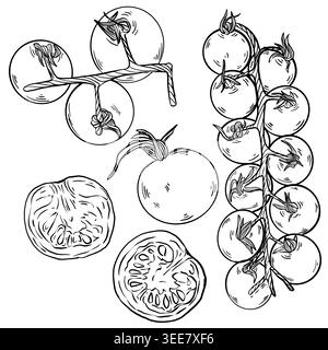 Black and white line art vector set of tomatoes: cherry vine, branch, whole fruit and cut halves with seeds. Minimalist culinary illustration for rest Stock Vector