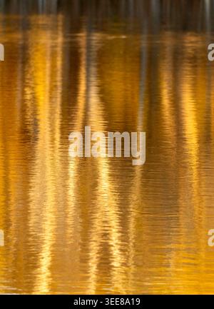 Abstract patterns created by sunlight shimmering on the water's surface, reflecting the warm colors of surrounding trees during fall Stock Photo