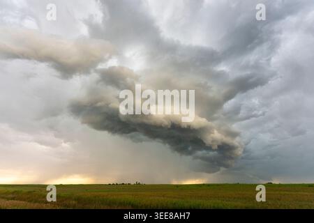 Massive cumulonimbus clouds loom ominously above a flat, grassy plain, with shafts of rain visible in the distance under a dramatic sky Stock Photo