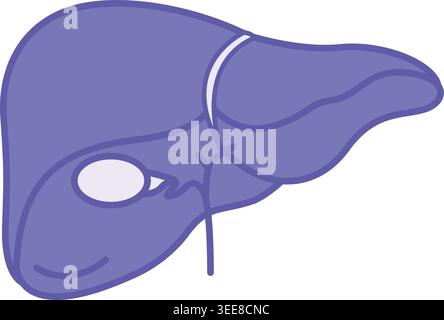 Colored Liver Icon. Vector Illustration. The Largest Internal Human Organ. Concept Anatomy Stock Vector
