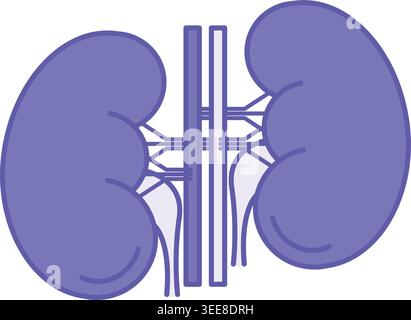Colored Kidneys Icon. Vector Illustration. Paired Organs That Filter Blood From Toxins. Human Organs. Concept Anatomy Stock Vector