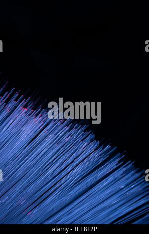 Abstract image of illuminated white optical fiber cables against a black background with shallow depth of field. Ideal for technology, networking, tel Stock Photo