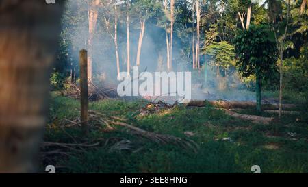 Forest clearing by fire causing smoke and deforestation in tropical rural area Stock Photo