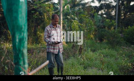 Rural farmer using smartphone in green field checking agricultural data Stock Photo