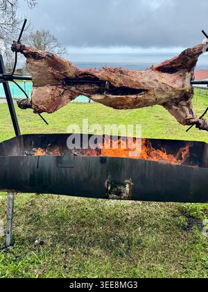 A whole pig being slow-roasted on a spit rotisserie over an open wood fire barbecue pit in an outdoor rural setting in the Azores. Stock Photo