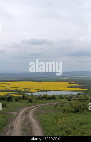 Dirt road winding through green hills with vibrant yellow rapeseed fields and a serene pond under a cloudy sky Stock Photo