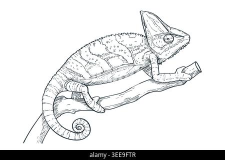Hand drawn chameleon sitting on a branch. Black and white ink sketch of lizard. Reptile engraving vector illustration, coloring book, fashion print or Stock Vector