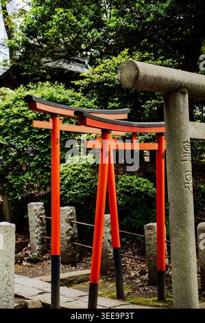 Small vermilion torii gates with black bases alongside stone posts and greenery at Nezu Shrine, Bunkyō ward, Tokyo, Japan Stock Photo