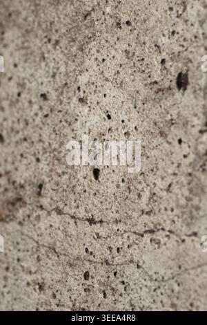 Close-up texture of weathered limestone wall surface Stock Photo