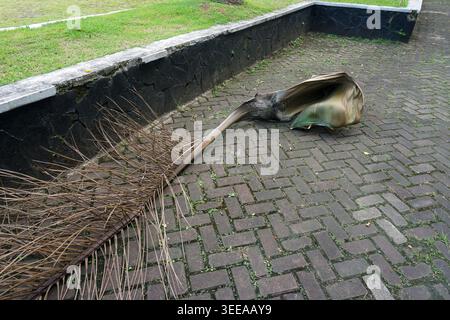 Large dried palm fronds that have fallen lie on the garden paving block floor, displaying a unique natural fiber texture against the backdrop of natur Stock Photo