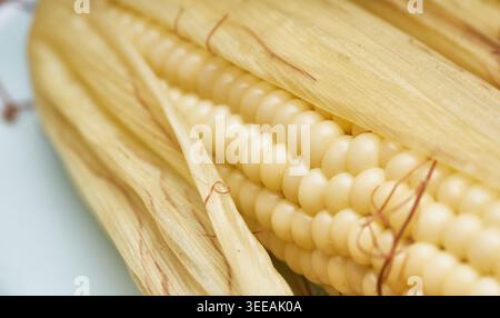 A macro shot of boiled white corn. The glossy, plump kernels and delicate silk are highlighted, capturing the wholesome essence of a summer snack. Stock Photo
