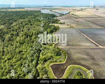 Aerial view of Parco Naturale del Bosco delle Sorti della Partecipanza bordering flooded rice fields and agricultural plains in Trino, Piemonte, Italy Stock Photo