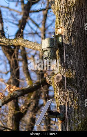 Outdoor Wildlife (Trail) Camera Mounted on Tree With Solar Panel for Wildlife Monitoring and Surveillance; Low Depth of Field Stock Photo
