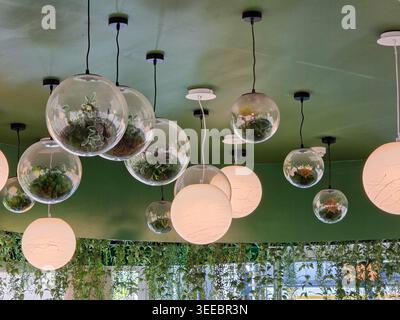 Group of round glass pendant lighting fixtures hanging from green ceiling with clear terrarium style globes and opaque white spherical lamps creating Stock Photo