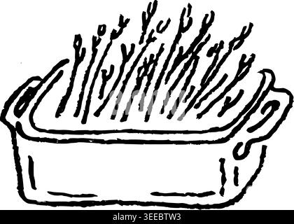 Hand Drawn Tray of Microgreens Vector Illustration Stock Vector
