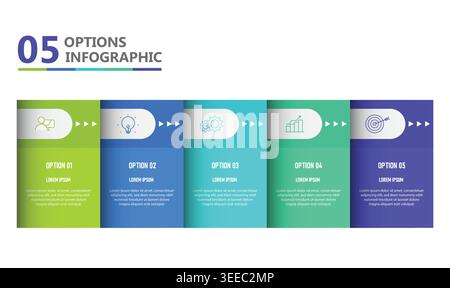 Modern 5 Step Options Infographic Template Colorful Business Process Timeline Design Stock Vector