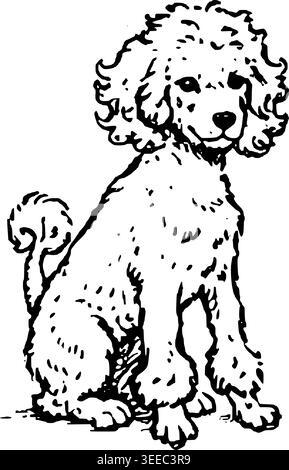 Hand Drawn Bichon Frise Puppy Vector Illustration Stock Vector