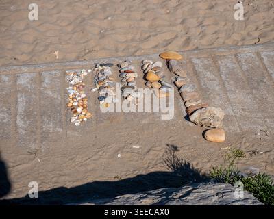 A creative flat lay of various sea shells, small stones, and large pebbles organized in neat vertical rows. The collection is displayed outdoors on a Stock Photo