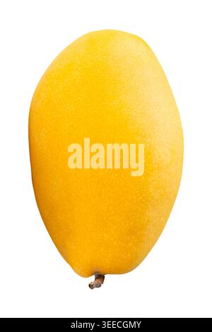 One ripe yellow mango fruit is isolated on white background with clipping path. Stock Photo