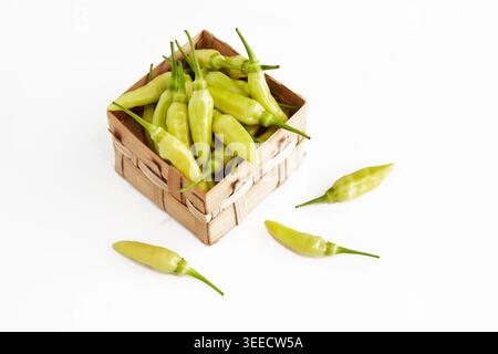 A small bamboo basket of fresh white chilli peppers with some on the outside on a white background. Stock Photo