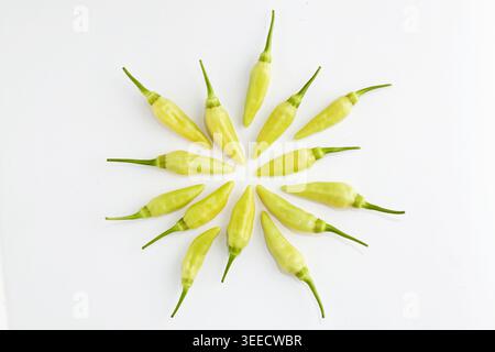 A bunch of small white cayenne peppers in various positions on a white background. Stock Photo