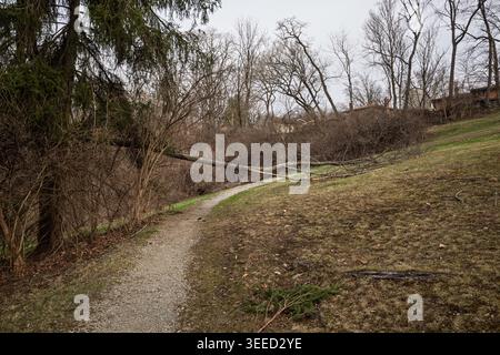 A fallen tree branch obstructs a gravel hiking trail at Mowry Park, Pittsburgh, Pennsylvania, following a severe winter storm Stock Photo