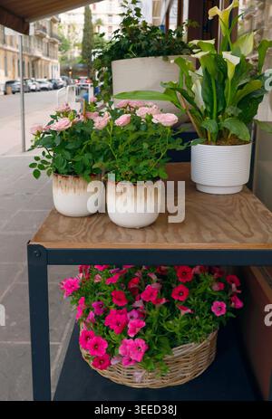 Fresh pink roses and white calla lilies in decorative pots on wooden display. Beautiful flower arrangement with bright petunias in wicker basket Stock Photo