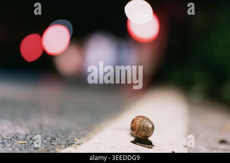 Snail crawling on pavement at night with bokeh lights in background Stock Photo