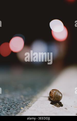 Close-up of a snail crawling on a sidewalk at night with blurred city lights in the background Stock Photo