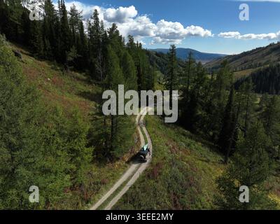 Aerial view of a dirt road cutting through lush green agricultural ...