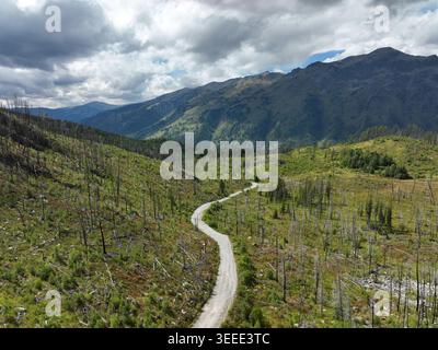 A winding dirt road curves gracefully through rugged mountainside terrain covered in green grasses and scattered dead trees beneath a dramatic cloudy Stock Photo