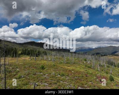 A vast mountain meadow dotted with fallen timber stretches beneath a dynamic sky filled with billowing clouds casting soft shadows across rolling hill Stock Photo