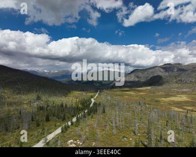 A winding dirt road cuts through a vast open field bordered by dense forests and rolling hills under a dynamic blue sky filled with large white clouds Stock Photo