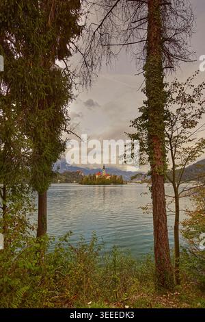 037 The castle and the Assumption of Mary church on Bled island seen ENE-ward from Kidriceva cesta across Lake Bled, framed by two firs. Bled-Slovenia Stock Photo