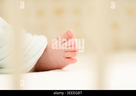 Baby feet in soft and gentle focus showcasing the delicate and tiny features of early infancy capturing the innocence and purity of new life Stock Photo