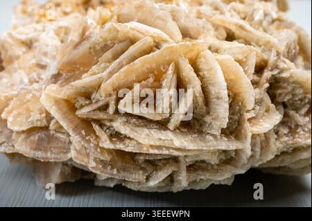 Large Desert Rose Selenite Raw Sand Rose Crystal Gypsum Rosette mineral close up Stock Photo