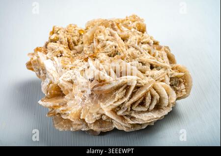 Large Desert Rose Selenite Raw Sand Rose Crystal Gypsum Rosette mineral close up Stock Photo