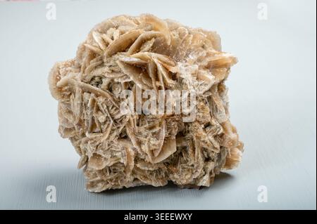 Large Desert Rose Selenite Raw Sand Rose Crystal Gypsum Rosette mineral close up Stock Photo