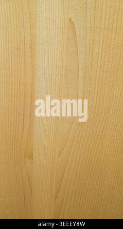 Macro shot shows wood grain details. Pale timber with light yellow hues, soft textures under even lighting. Ideal for backgrounds or nature themed con Stock Photo