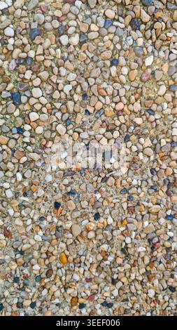 Close-up showcasing colorful pebbles set in concrete. Fine textures highlighted by even lighting. Beige, brown, and blue mineral tones. Ideal for cons Stock Photo