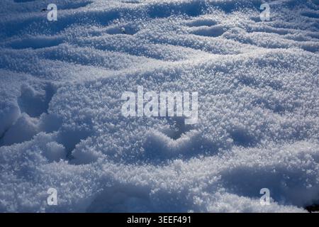 Sparkling fresh snow texture background in winter sunlight Stock Photo