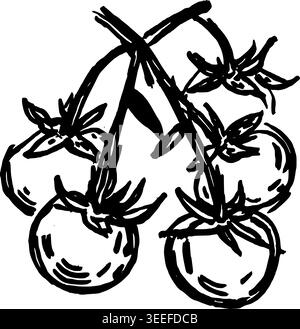 Hand Drawn Cherry Tomatoes on Vine Vector Drawing Stock Vector